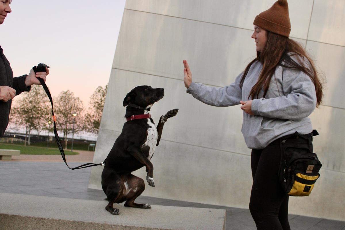 Madalyn demonstrating a hand cue with a dog while another person holds the leash