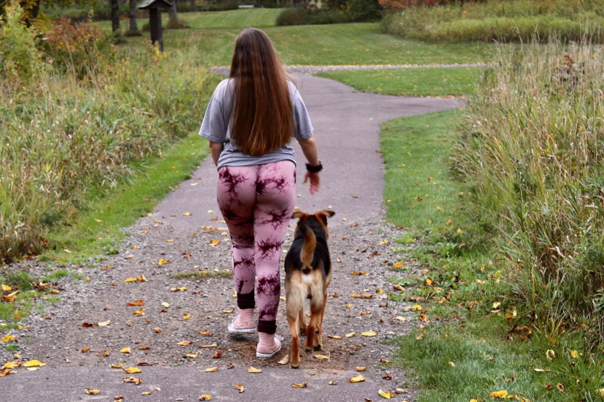 Dog walking attentively beside a person along a park path